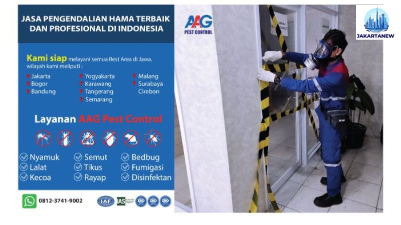 Pest Control Jakarta: Rekomendasi